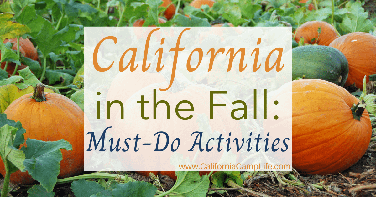 California in the Fall: Must-Do Activities