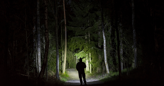 Man in forest with flashlight