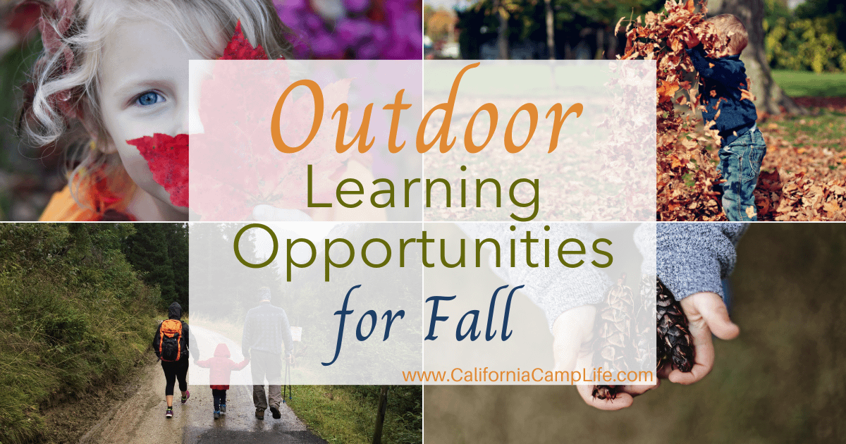 Outdoor Learning Opportunities for Fall