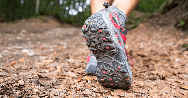 Hiking shoes in the woods