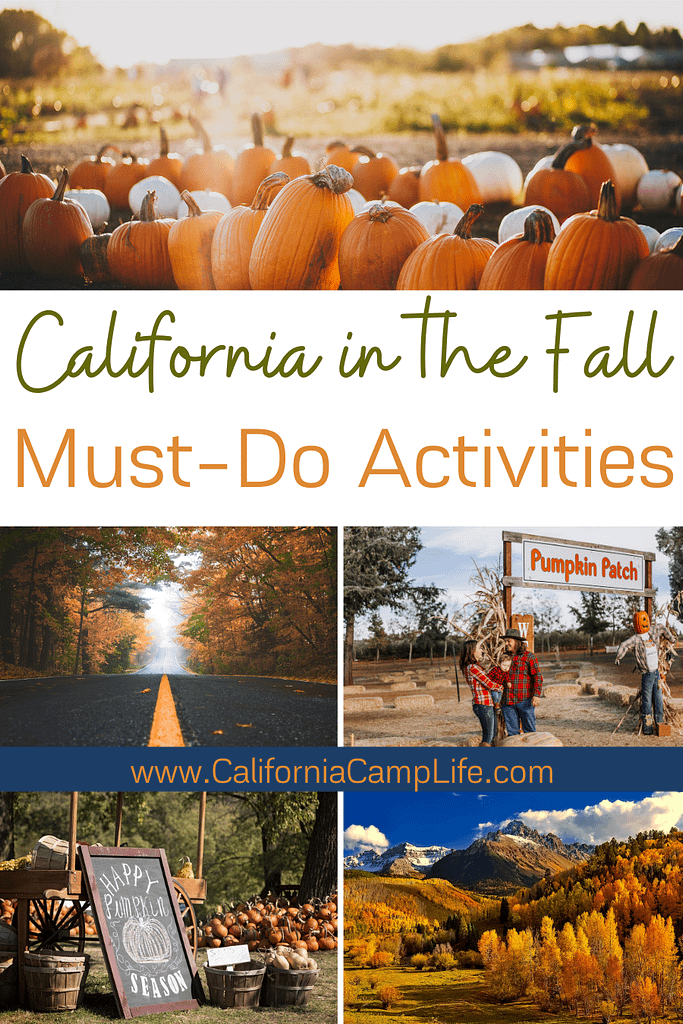California in the Fall: Must-Do Activities Collage