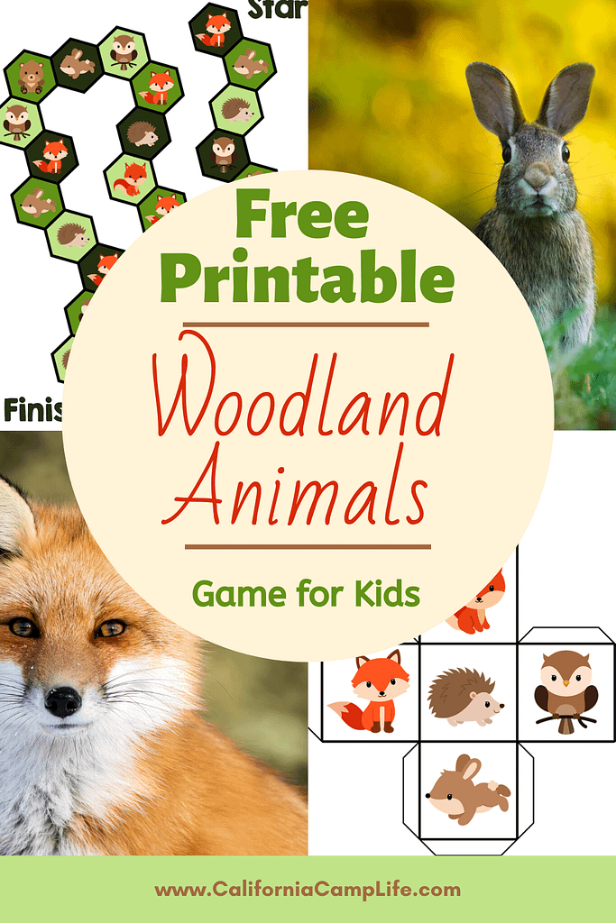Woodland Animals Printable Game for Kids