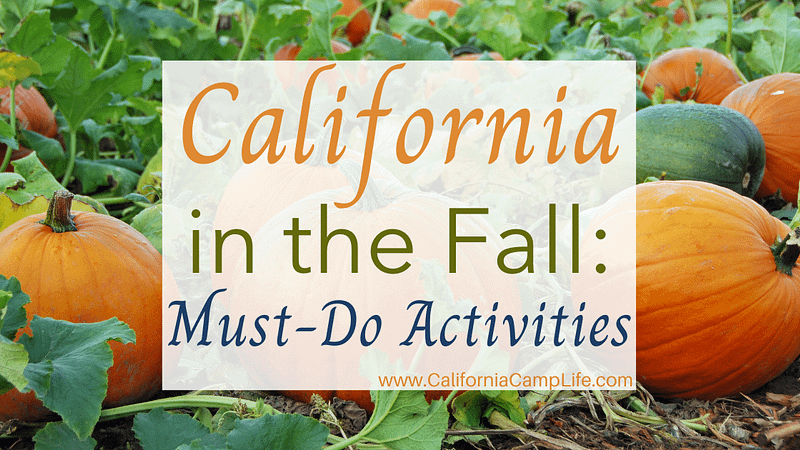 California in the Fall: Must-Do Activities