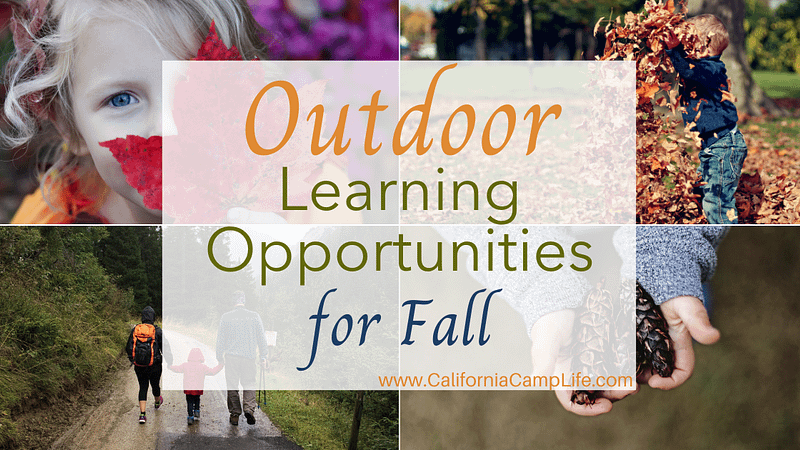 Outdoor Learning Opportunities for Fall