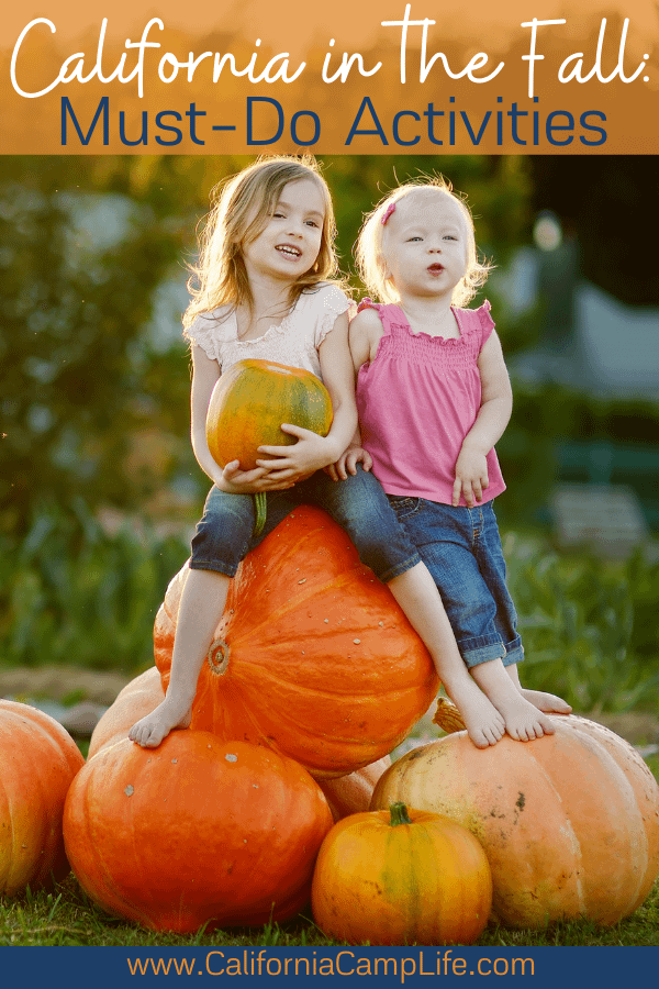 Two little girls sitting on a pile of pumpkins